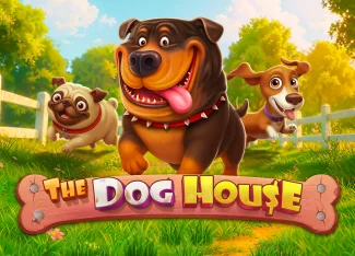 The Dog House Telefondan Oyun Deneyimi | Beygir Bet