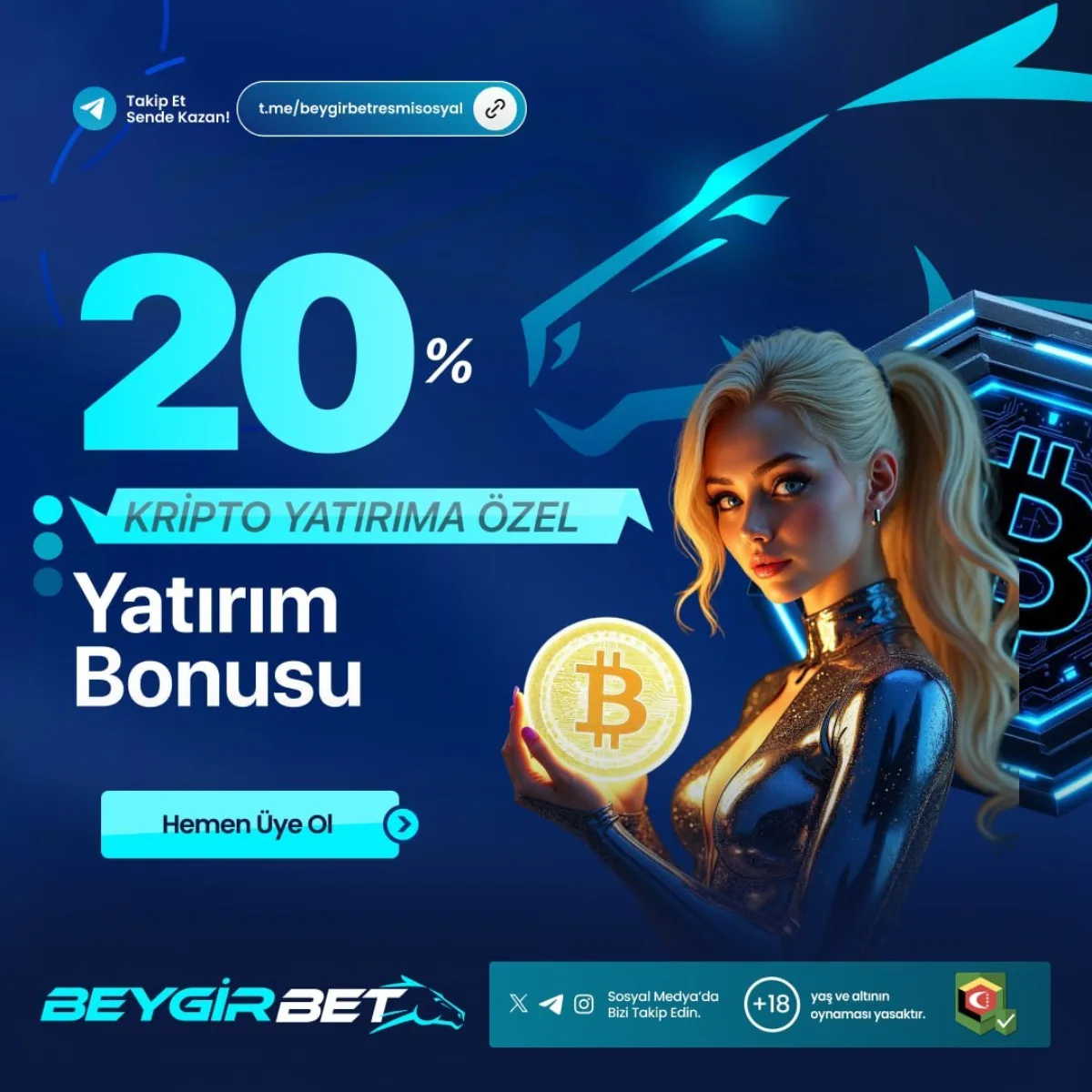 Beygirbet Giriş görsel 1