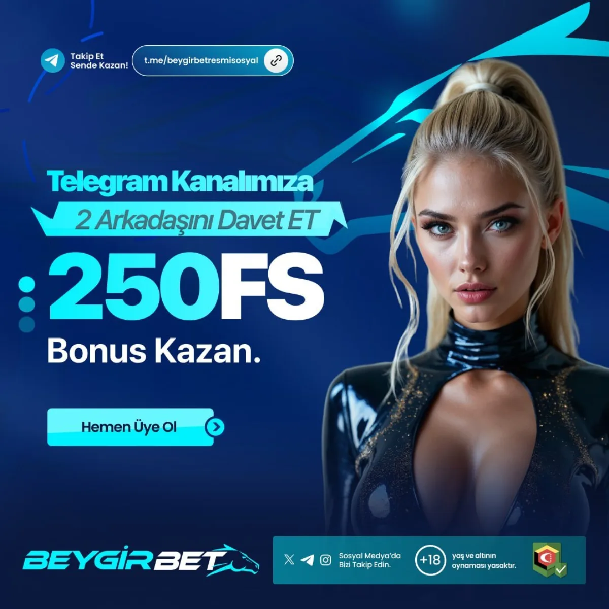 Beygirbet Giriş görsel 4