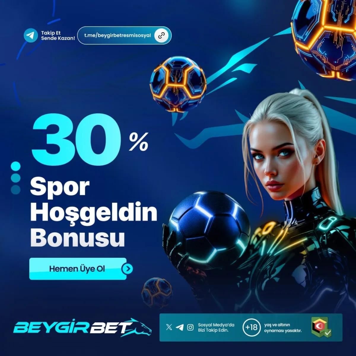 Beygirbet Giriş görsel 5